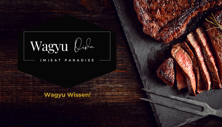 Wagyu Wissen Blog
